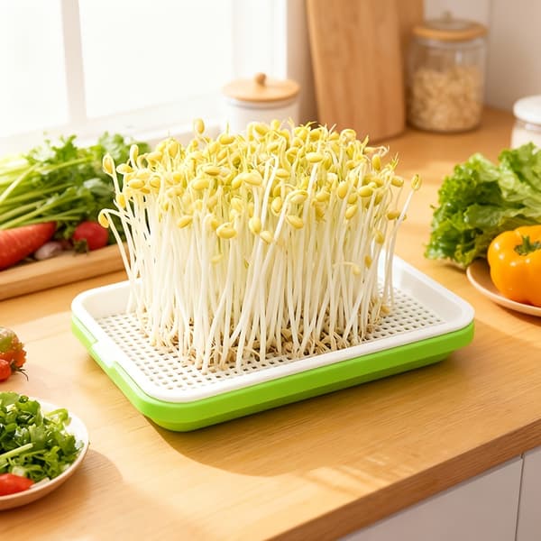 Hydroponic Seed Starter Kit with Drainage Holes - for Peas, Beans, Herbs, Vegetables 1st