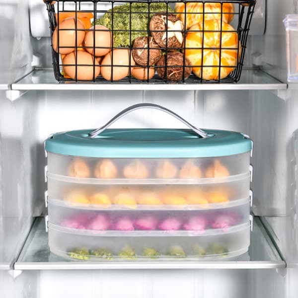 Household Wonton Dumpling Storage Box Multi-layer Food Grade Quick-freeze Box