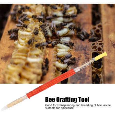 25 Pieces Beekeeping Larva Grafting Needles Queen Bee Rearing Tool Beekeeping Equipment