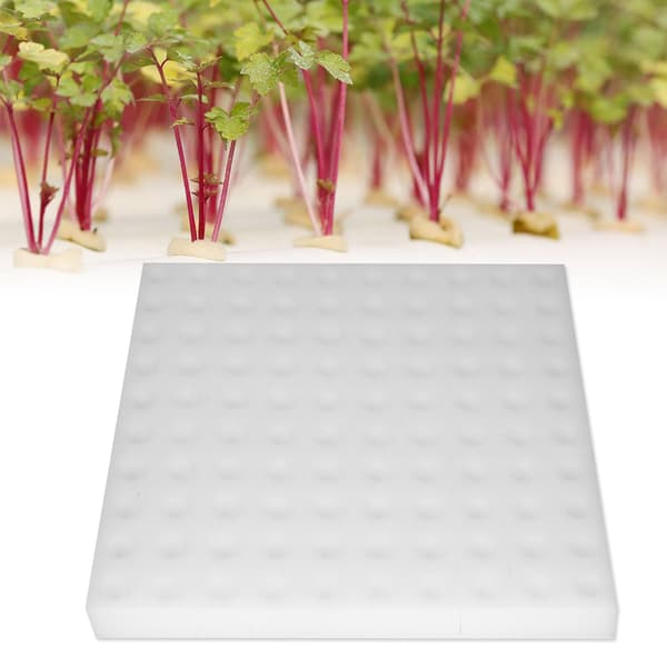100 Pcs Hydroponic Sponge Planting Tool Square Plant Sponges for Greenhouse
