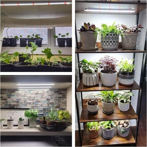 Vækstbelysning vækstlampe til indendørs planter, med fuldspektrum hvidt lys