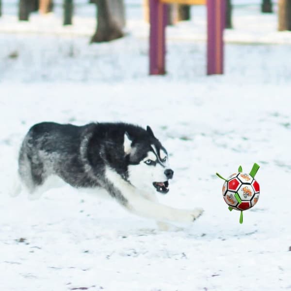 Hundelegetøj, hundebolde, hundefodbold til 15 cm x 15 cm interaktiv hundebold til indendørs og udendørs brug
