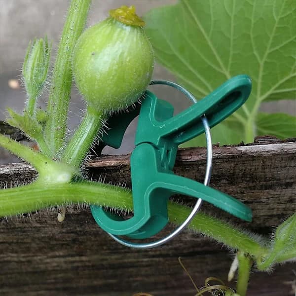 Adjustable Plant Support Clips, Reusable Garden Clips for Tomatoes, Cucumbers, Roses, Climbing Plants, Green, 100-Pack