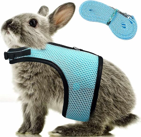 Adjustable Rabbit Harness Soft Rabbit Leash Harness Mesh Rabbit Harness Hamster Vest with Elastic Leash