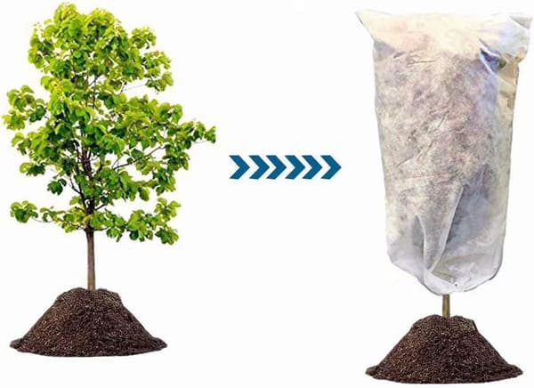 2-pack växtskydd mot frost 39''x47 \" Plant Frost Pro