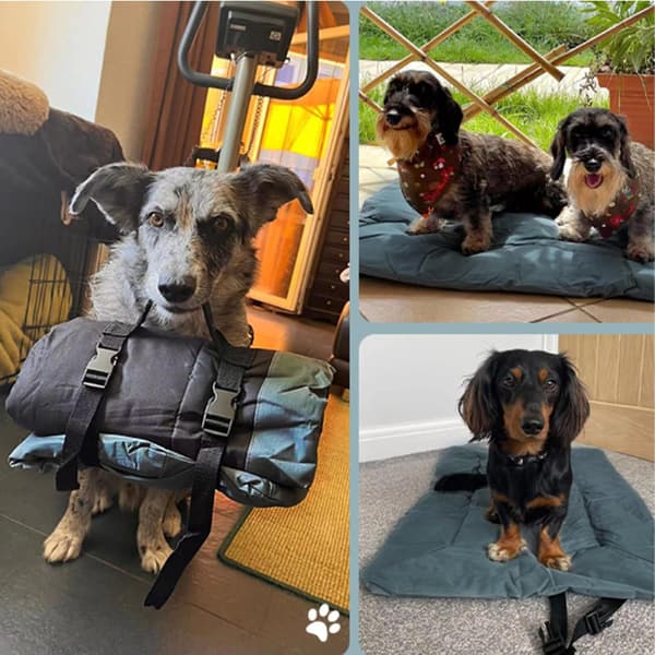 Hundemåtte, foldbar og vaskbar hundemadras, multifunktionel udendørs kæledyrsmadras (86*58cm)