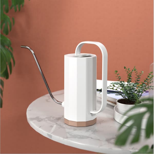 Stainless Steel Watering Can with Long Spout and Large Humanized Handle for Garden, Ivory White