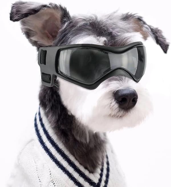 Dog Goggles Anti-UV Waterproof Windproof Adjustable Glasses For Small Medium Dogs Black