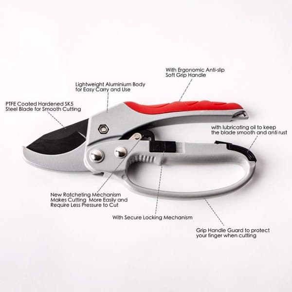 Garden shears pruning shears fruit tree tools scissors scissors b