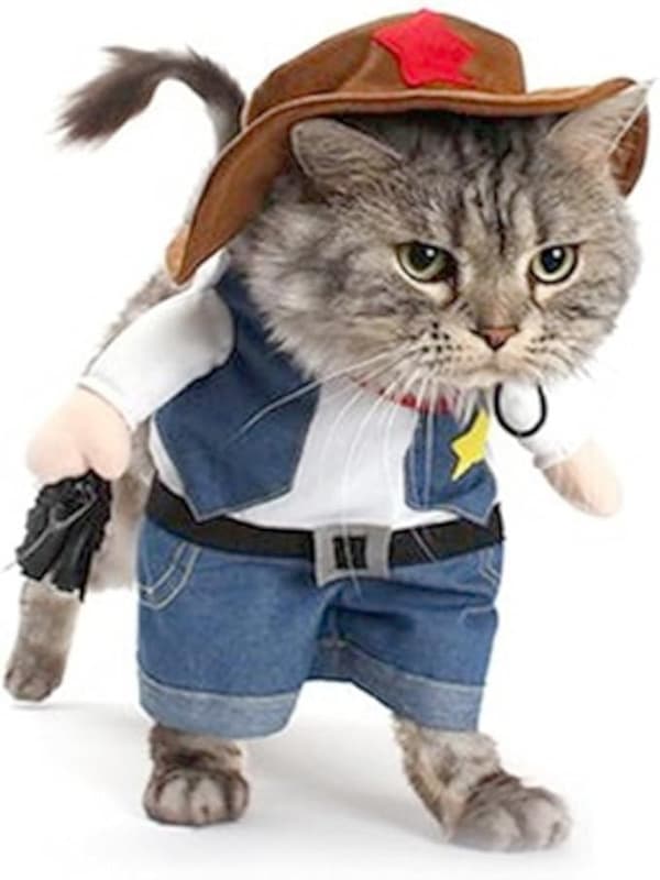 Julekostumer til hund eller kat Cowboy med hat