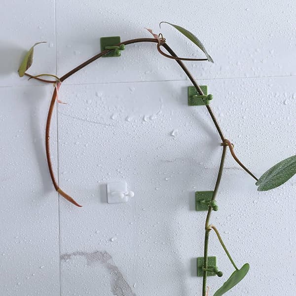 Plant Clips - Climbing Guide Binding Support Garden Cable Organizer for the Wall For indoor use Attach to the reusable adhesive_yu