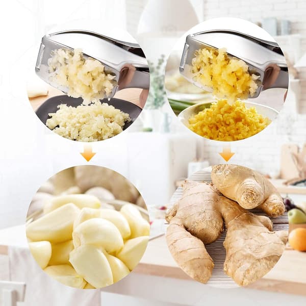 Professional Garlic Press Garlic Press Practical Strong Easy Clea