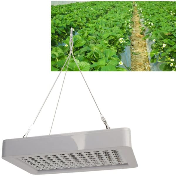 192 LED Vækstlys Fuld Spektrum til Indendørsplanter VEG BLOOM Dobbelt Afbryder Vækstlys, DUBUNS