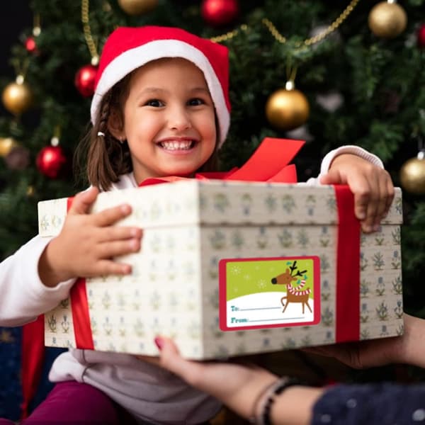 500 Pcs Self-Adhesive Christmas Labels with Christmas Motifs