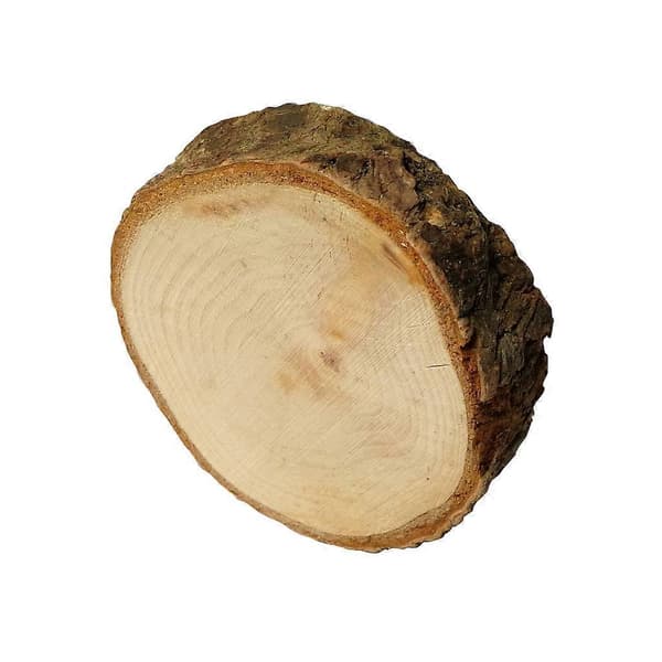 Trästubbe Ljusstake Planteringskärl Bröllopsfest Matbordsdekoration_tfrf