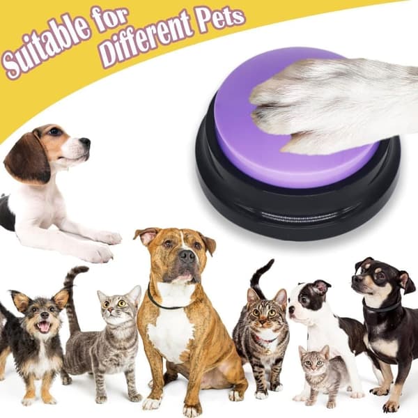4-pack talande knappar för hund och katt, hundträning