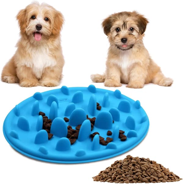 Slow Feeder Dog Bowl and Interactive Silicone Non-Slip Pet Bowl
