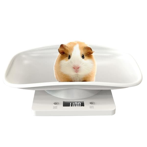 Digital Pet Scale Kitchen Scale Multifunctional LCD Electronic Scale 10kg Weight Scale Pet Accessories