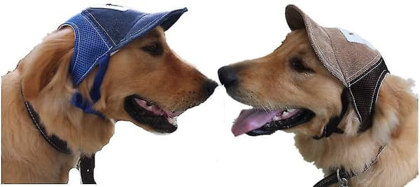 Sommer Pustende Hund Baseballcaps Med Ørehull Mesh Hundecaps For Mellomstore Store Hunder