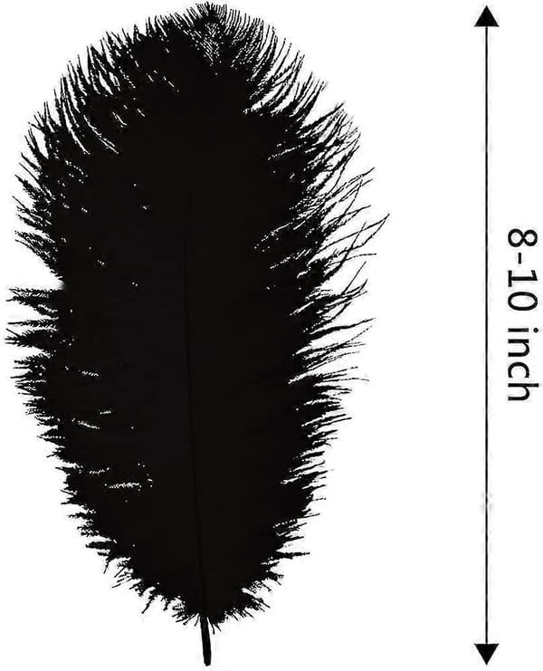 20 stk. Naturlige Sorte Strudsefjer Plymer 20-25 cm Bulk Til Fest, Påske, Gatsby Dekorationer