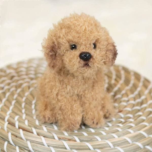 Labradoodle Liten Plysjvalp, Kosedyr Hund, 19,8 cm