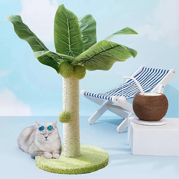 Kradsestolpe til katte, kattetræ, kaktus, kattekradser
