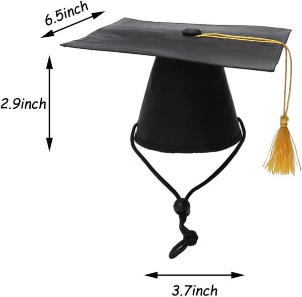 Eksamenshuer til kæledyr med butterfly slips krave hunde eksamen hatte tilbehør kostume til hunde katte Hat+Bowtie Hat+Bowtie
