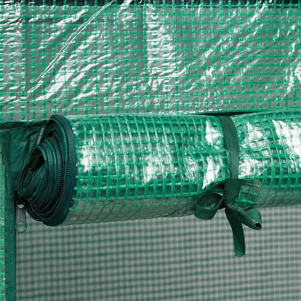 Tomato Cultivation in Greenhouse 2380