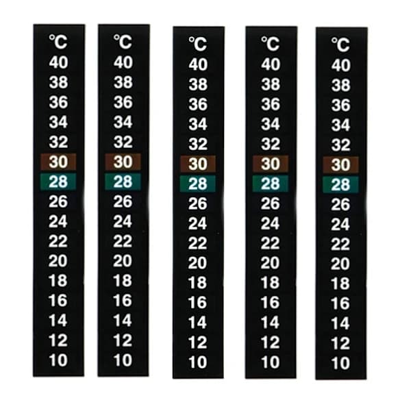 5-pakning tradisjonell digital klistremerketermometer med Celsius-system_tfrf