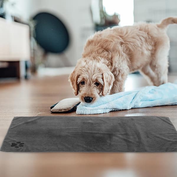 Absorberende kæledyrsbadehåndklæde af blød mikrofiber, stort tørreklæde til hunde, hurtigtørrende, holdbart til pelspleje af hunde og katte