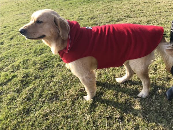 Vinterhundejakke Fleece Hundefrakke til de fleste hunde (rød)