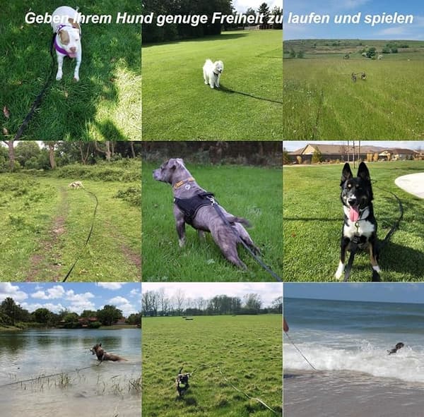 Hundesnor 5m Lang Træningssnor til Hunde Ideel til Vandring Camping Træning Strand