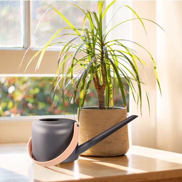 Vandkande til potteplanter 1,7 liter 320