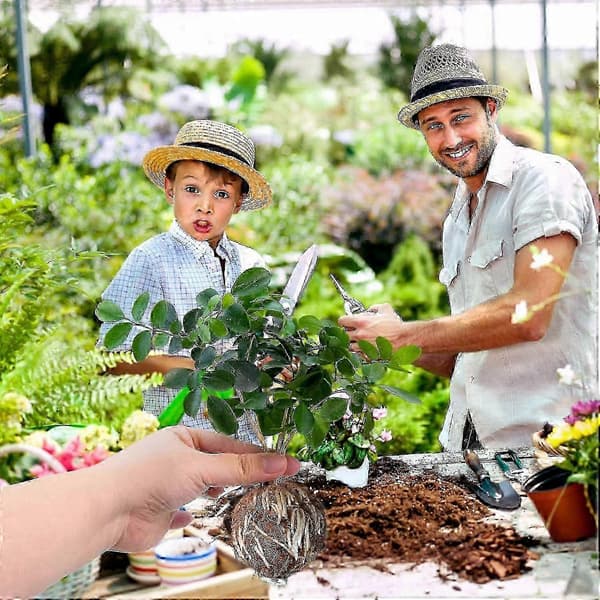 10-pack Tree Root Plant Box, Rooting Ball Grafting Tool, Reusable High-Pressure Air Layering Propagation Kit