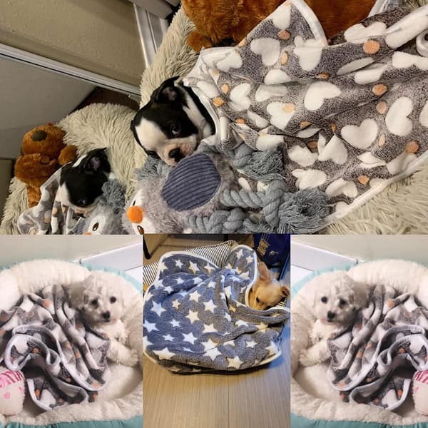 3-pak hvalpetæpper superbløde varme sovemåtter grå søde trykte fluffy fleecetæpper til små hunde katte, (23\"x15\")
