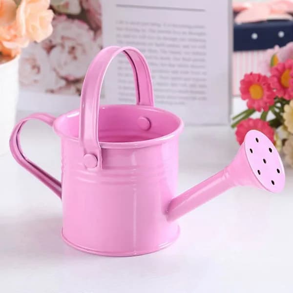 100% New, Mini Iron Watering Can, Spray Bottle, Metal Forging with Handle, Sprinkled Shower Pink