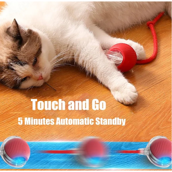 Rolling Ball for Dogs and Cats, Interactive Toy with 360° Intelligent Obstacle Avoidance, Grey