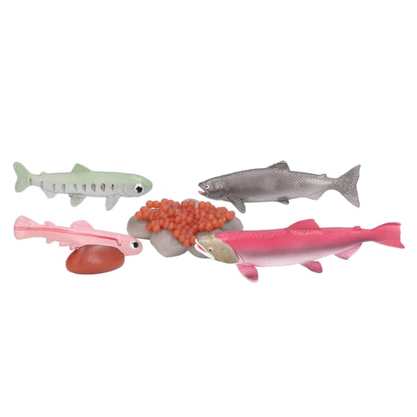 Growth Cycle Model Vinyl Material Safe Odorless Vivid Real Salmon Wildlife Cycle Model for Over 3 Years Old