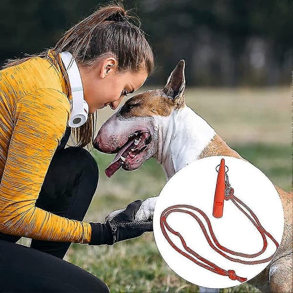 4 stk Professionelle Hundfløjter Hundetræningspip Klar og Høj Lyd Ideel