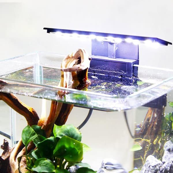 X3 LED Akvariebelysning - 220V 6W Lampe til Vandplanter og Fisk - Nanoakvarium