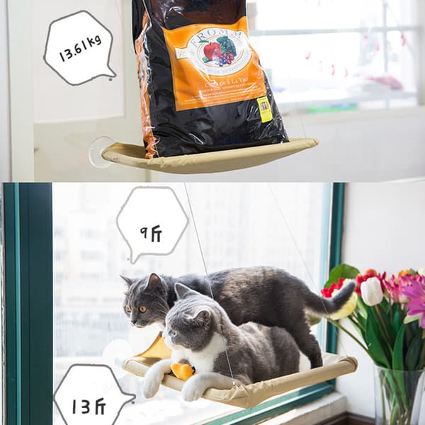 Window Mounted Pet Bed Suction Cup Hanging Sunshine Hammock Perch Cushion For Cat