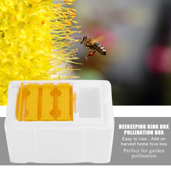 Harvest Beehive Beekeeping Queen Box Pollination Box Beekeeping Tool