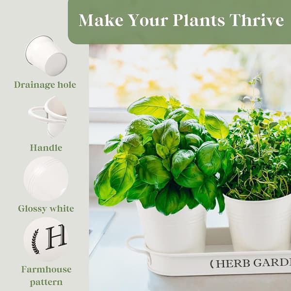 Rustic Style Flower Pots, Herb Garden Kit with Tray, Window Boxes for Indoor Plants (White)