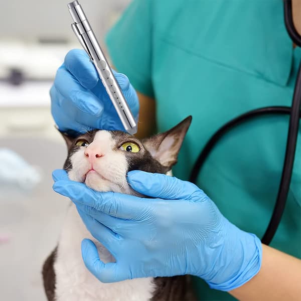 2 kpl alumiiniseoksesta valmistettuja kynälamppuja -FA7-