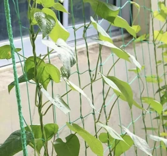Plantegitter / Støttenett for Planter - 2x10m 200