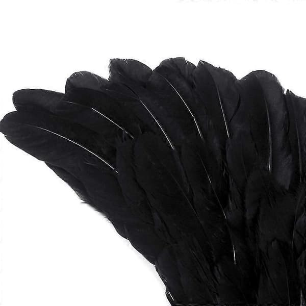 Feathered Devil Wings Halloween Costume Cosplay