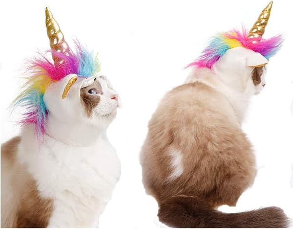 Hundekostume Enhjørningshat til kæledyr pou