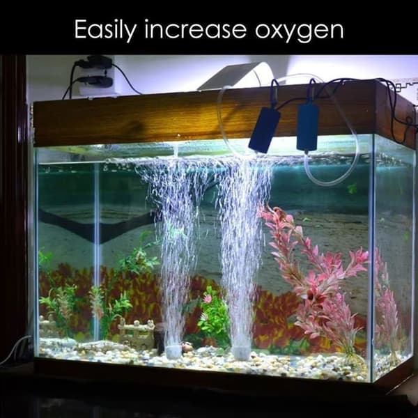 Akvarieluftpumpe, akvariesyrepumpe, akvarieluftpumpe-sæt med luftsten og silikoneslange, til
