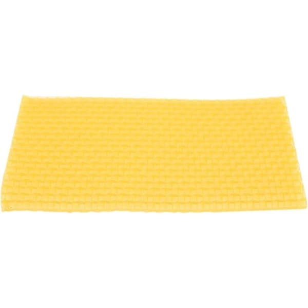 50 Pieces Beekeeping Series Beehive Honeycomb Foundation Frame Garden Beehive Beekeeping Tool