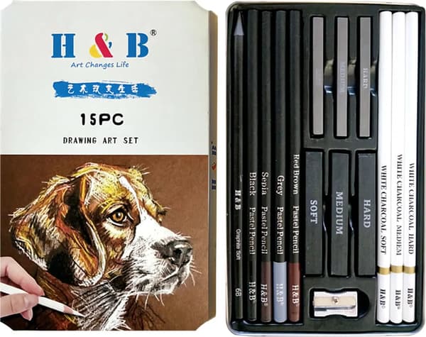 H&B 15 st/set konstmaterial ritset vitt kol och pastellpennor set målningsverktyg